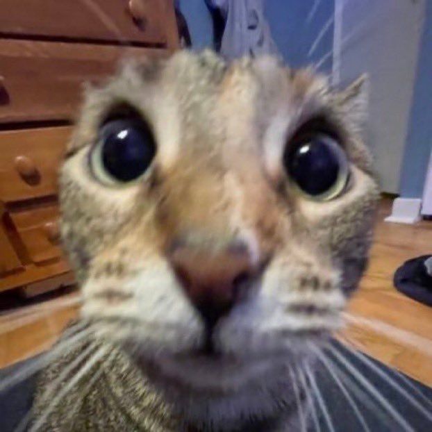 Dimitri0_0