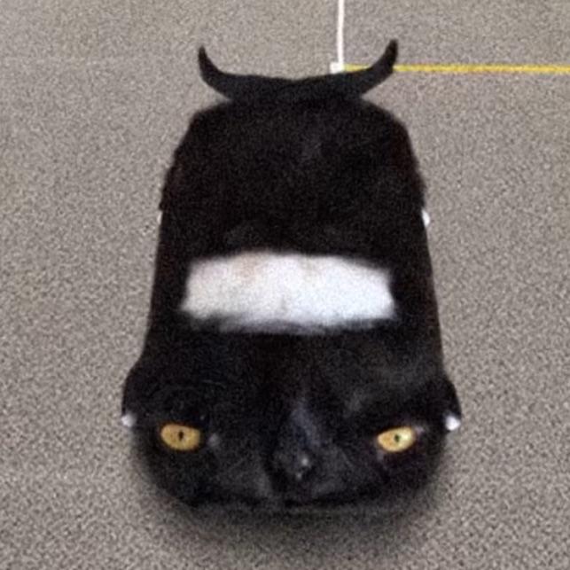 wydriski avatar