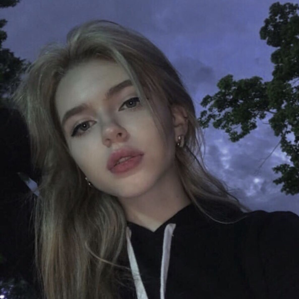 Suchka_n1