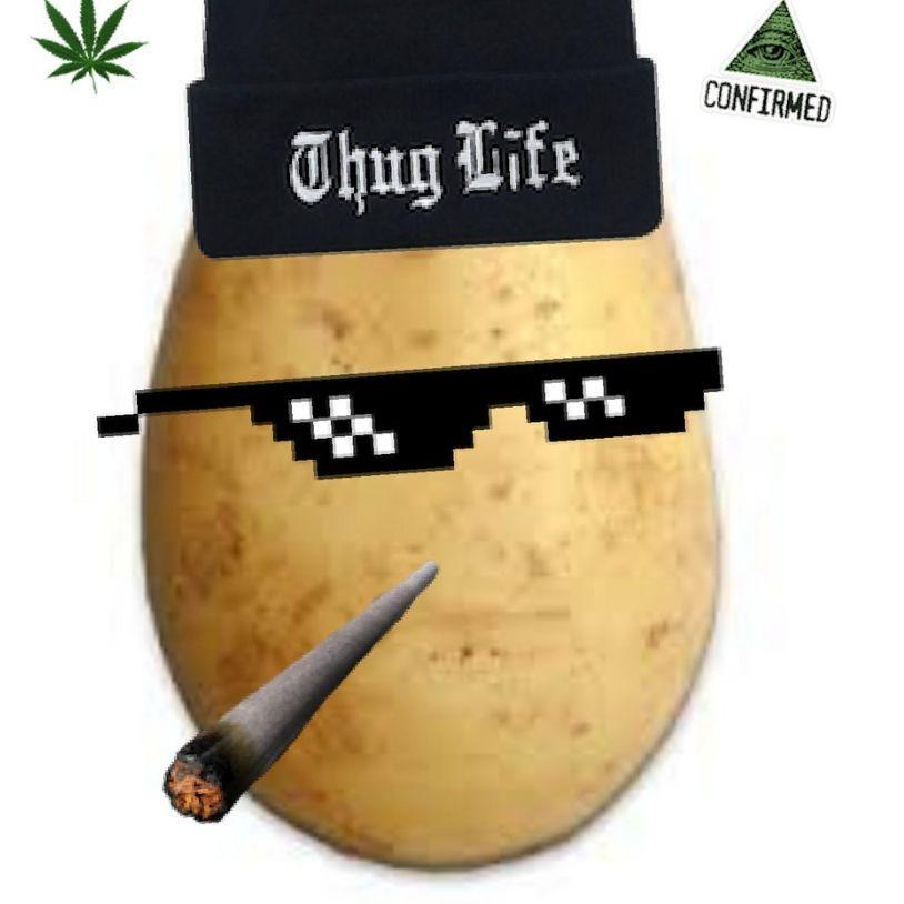 RiseOfPotato avatar