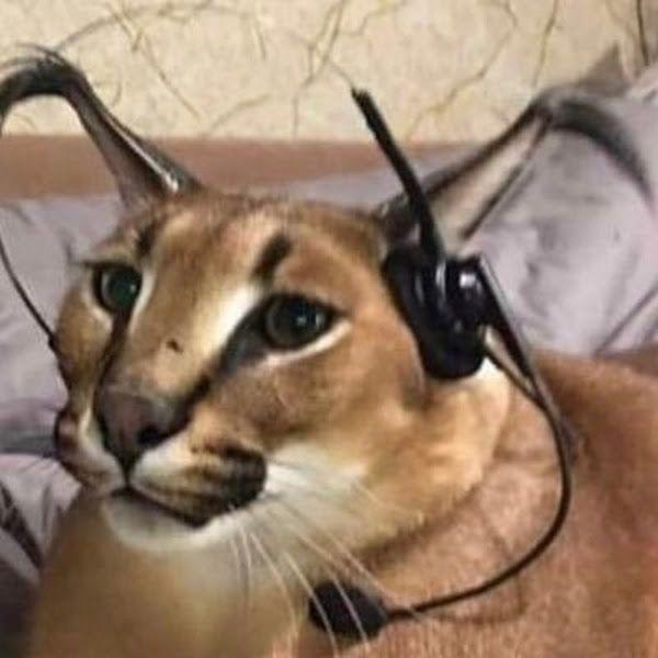KianFloppa avatar