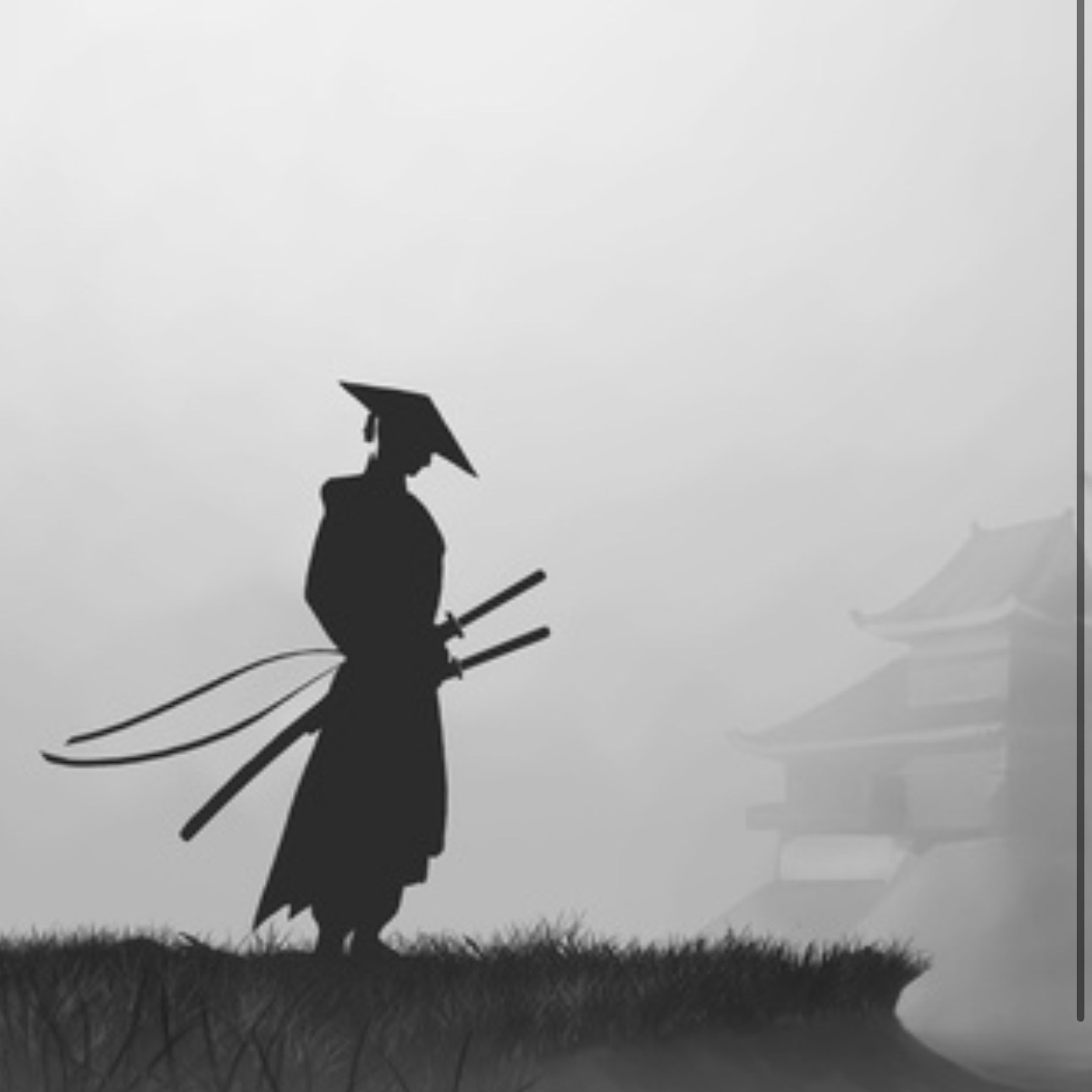 Shogun_____