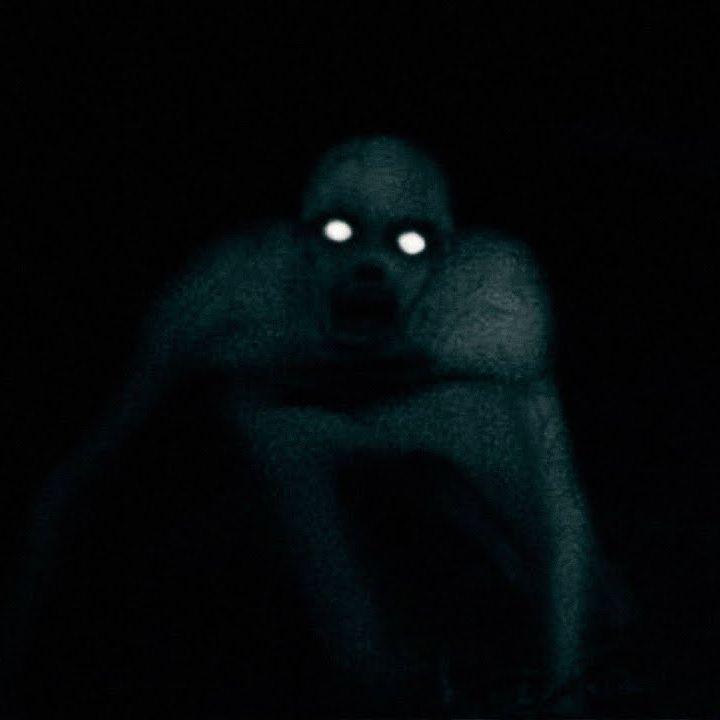 tiredz avatar