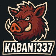 team_kaban1337