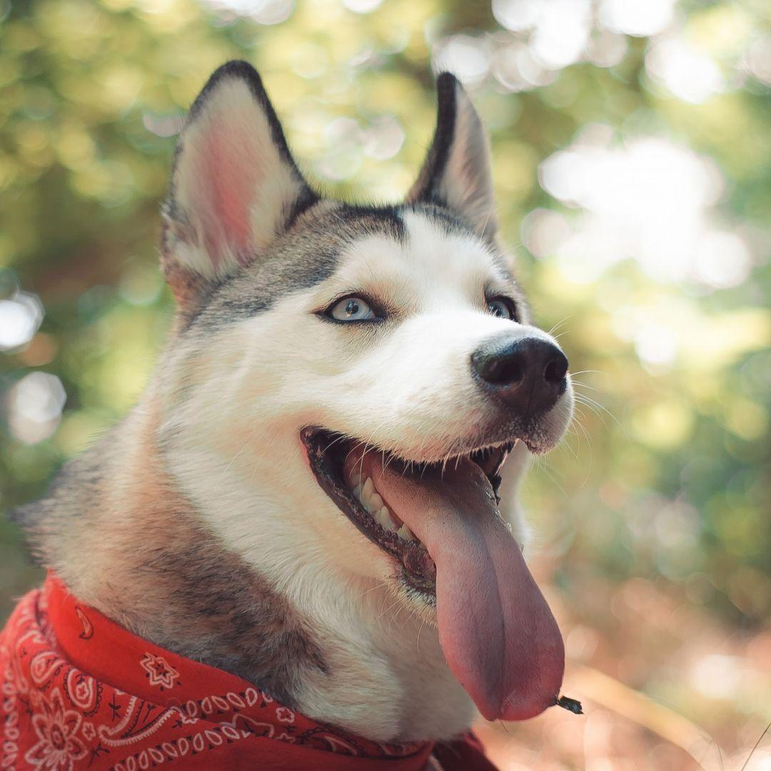 Eska1207 avatar