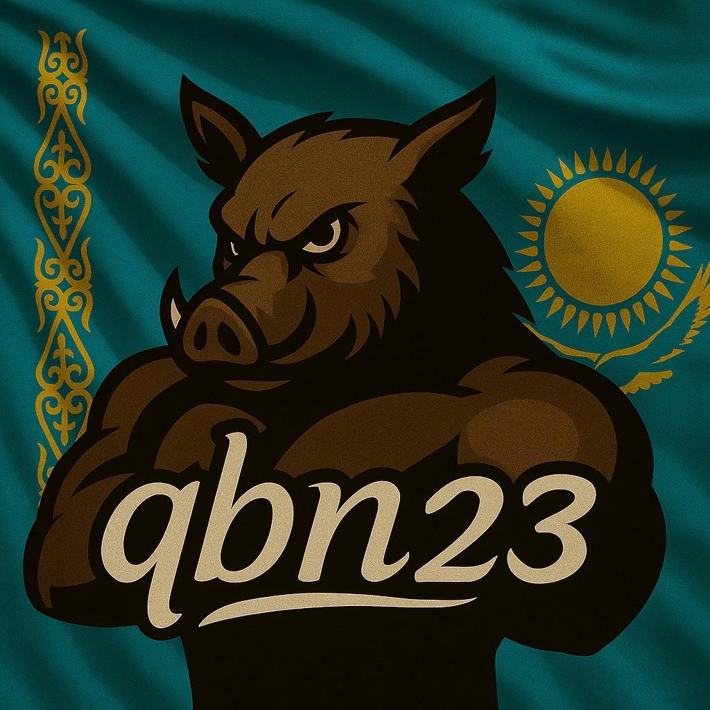 qbn23 avatar