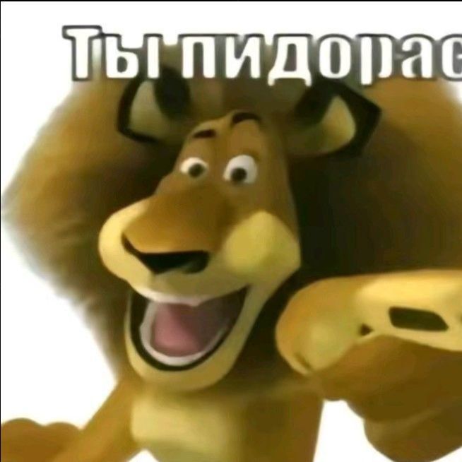 s0N1KSezz