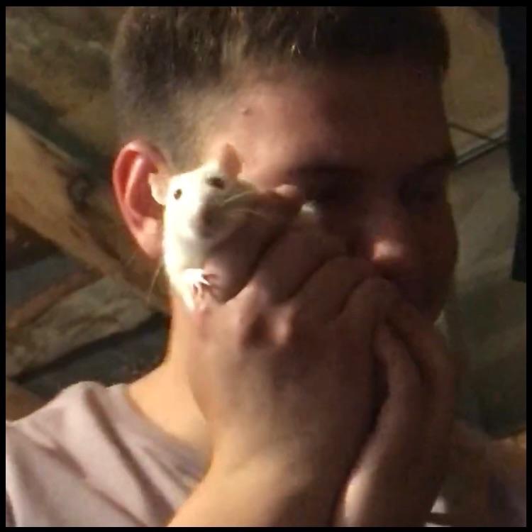 S3RY0ZHA avatar