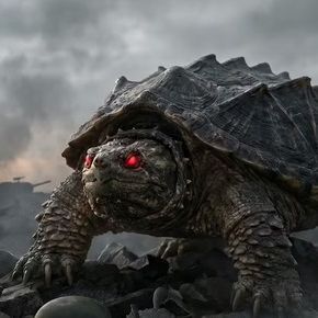 TurtlePH