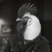 iMa_-_ avatar