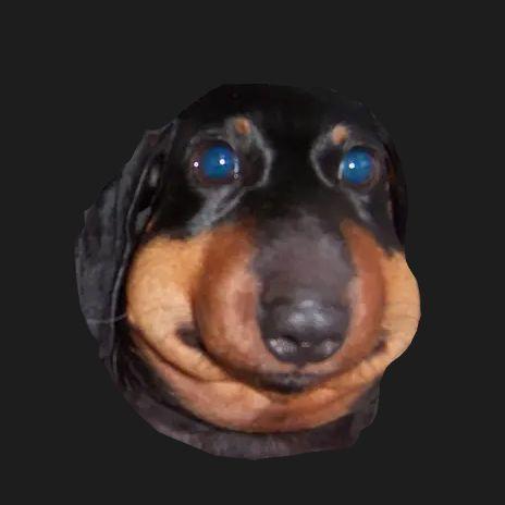 Intervamp avatar