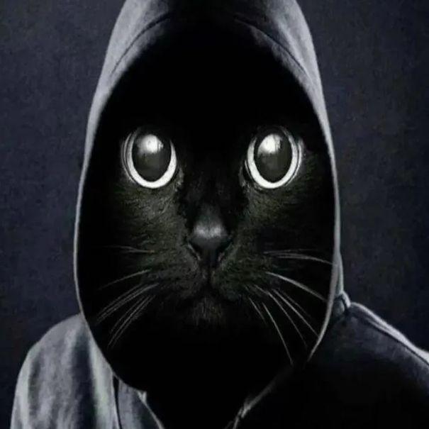 LRT_kz avatar