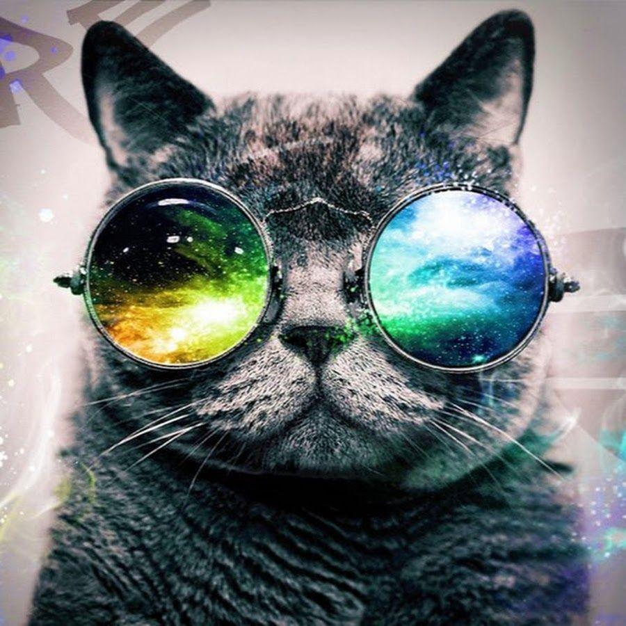 icebRok avatar