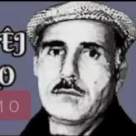 LoLo_Pzmamo