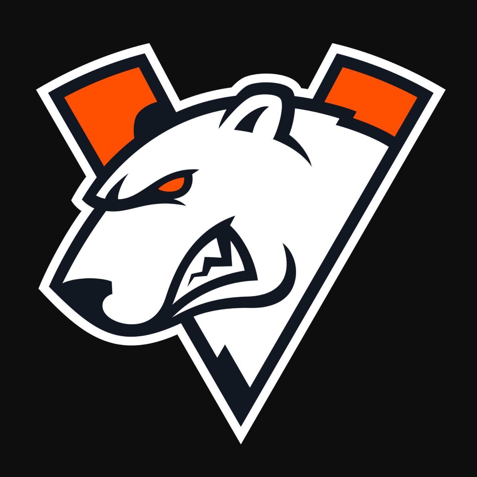 SchnaudiTM avatar