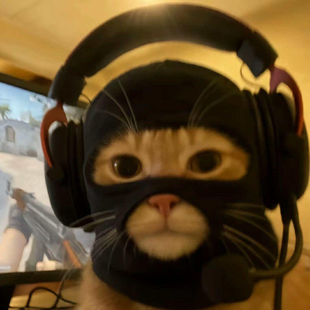 ChrisTheDAWG avatar