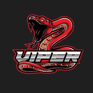 ViperMD