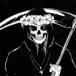 TrippiTropa avatar