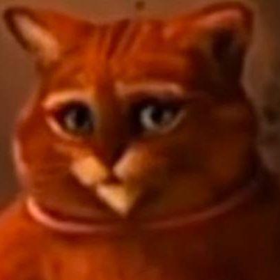 ssantaxxx avatar