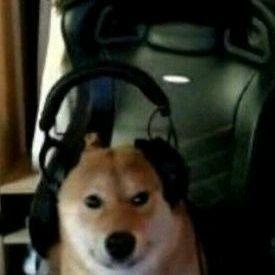 KurtkaBeyna avatar