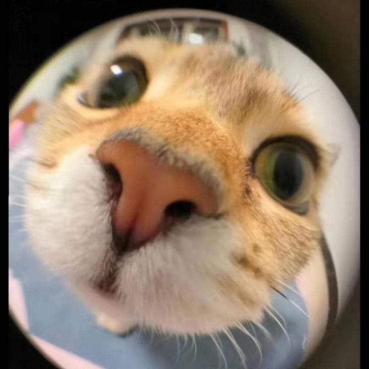 drewx8