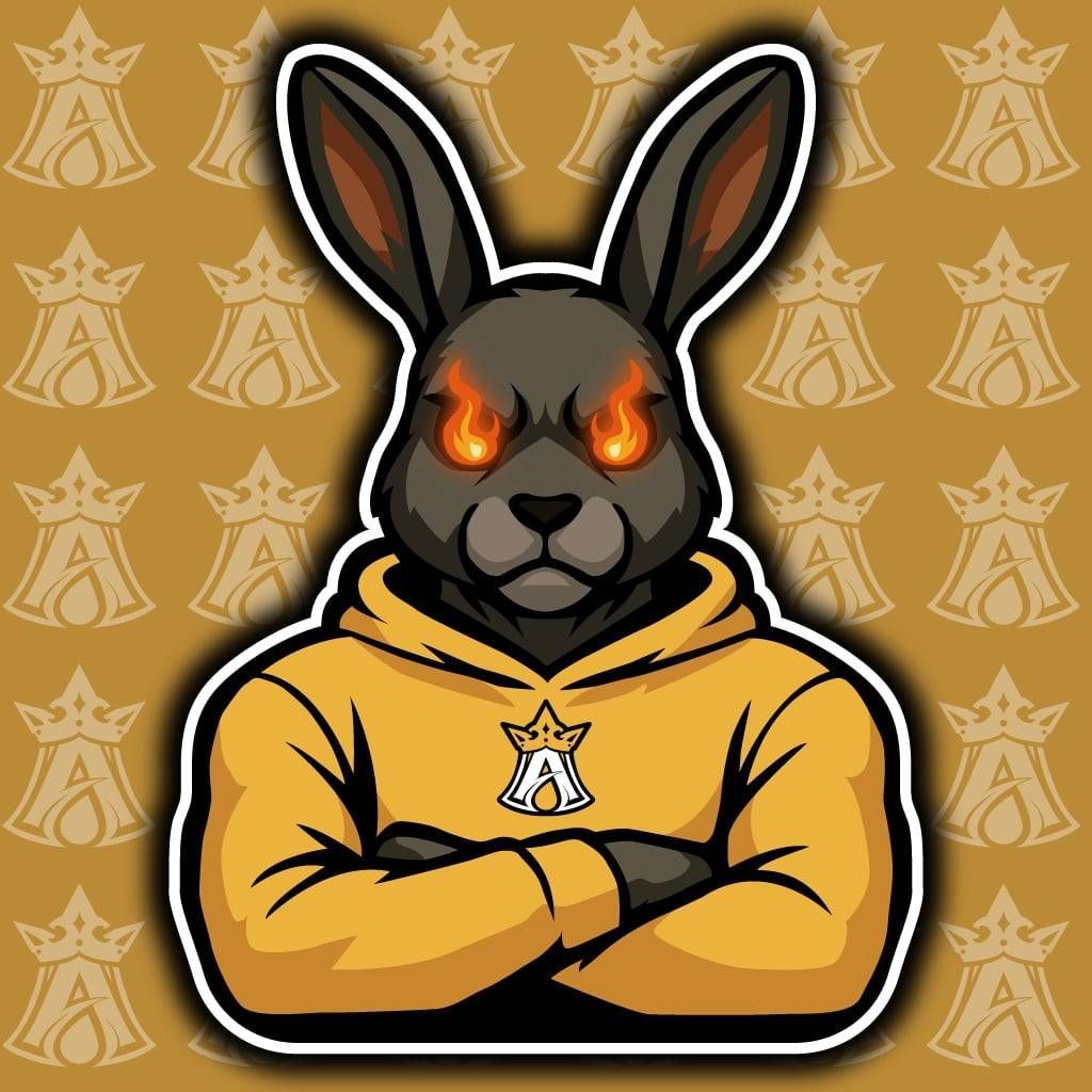 team_Zajcyk_