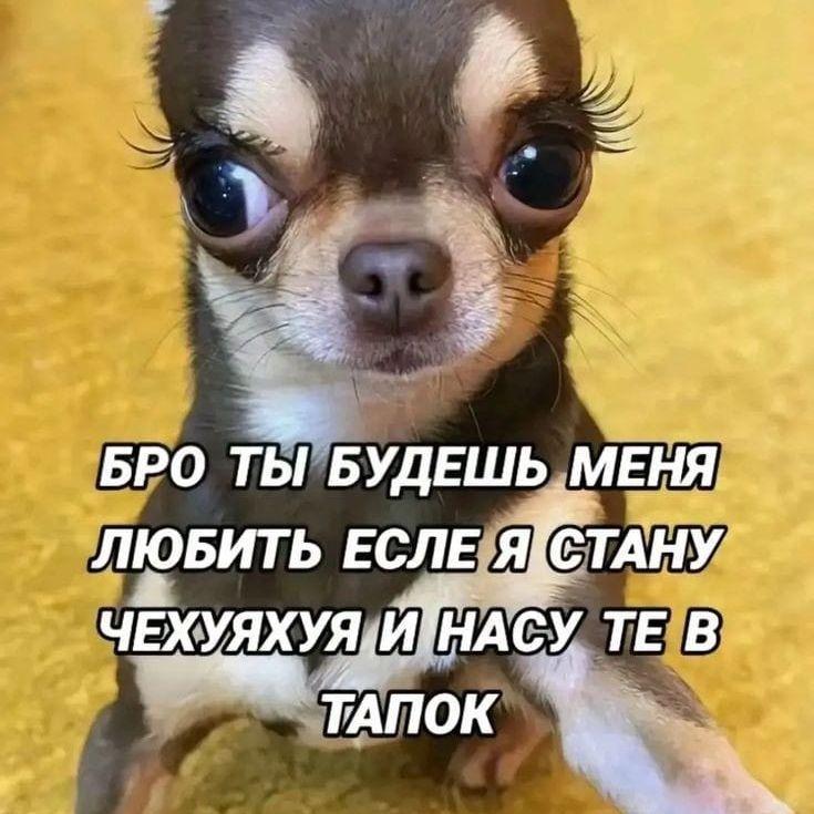 Khandokhin avatar