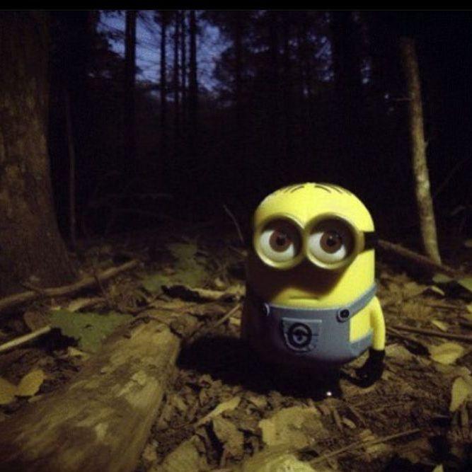 WMEJLb_
