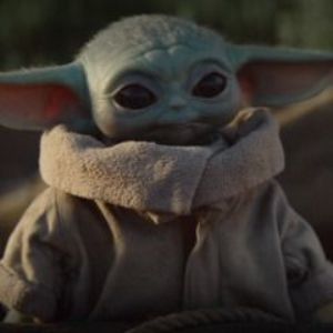 zamullaa FACEIT avatar