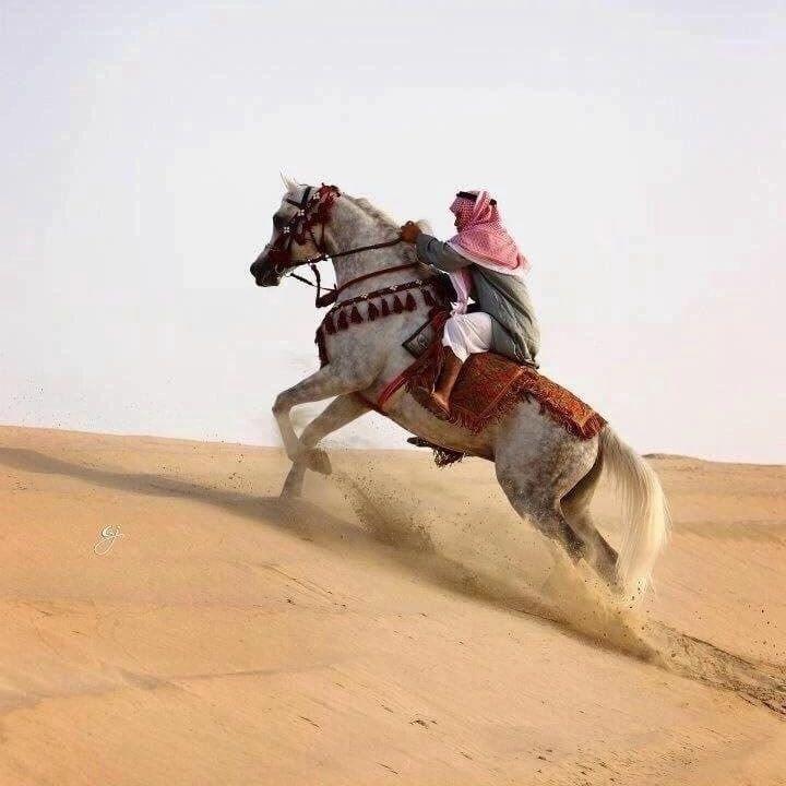 1experteez avatar
