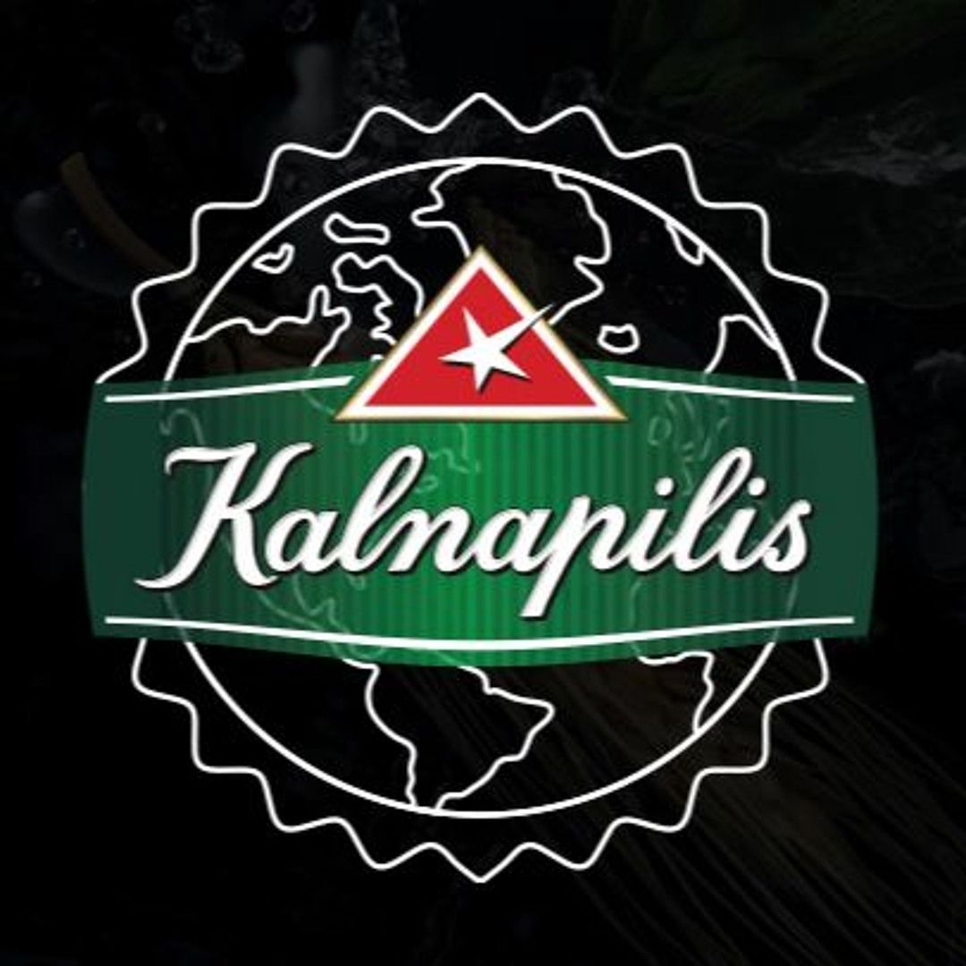 Kalnapilis