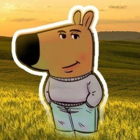 zavaIi_ebalo avatar