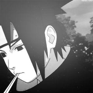 premb0ss avatar