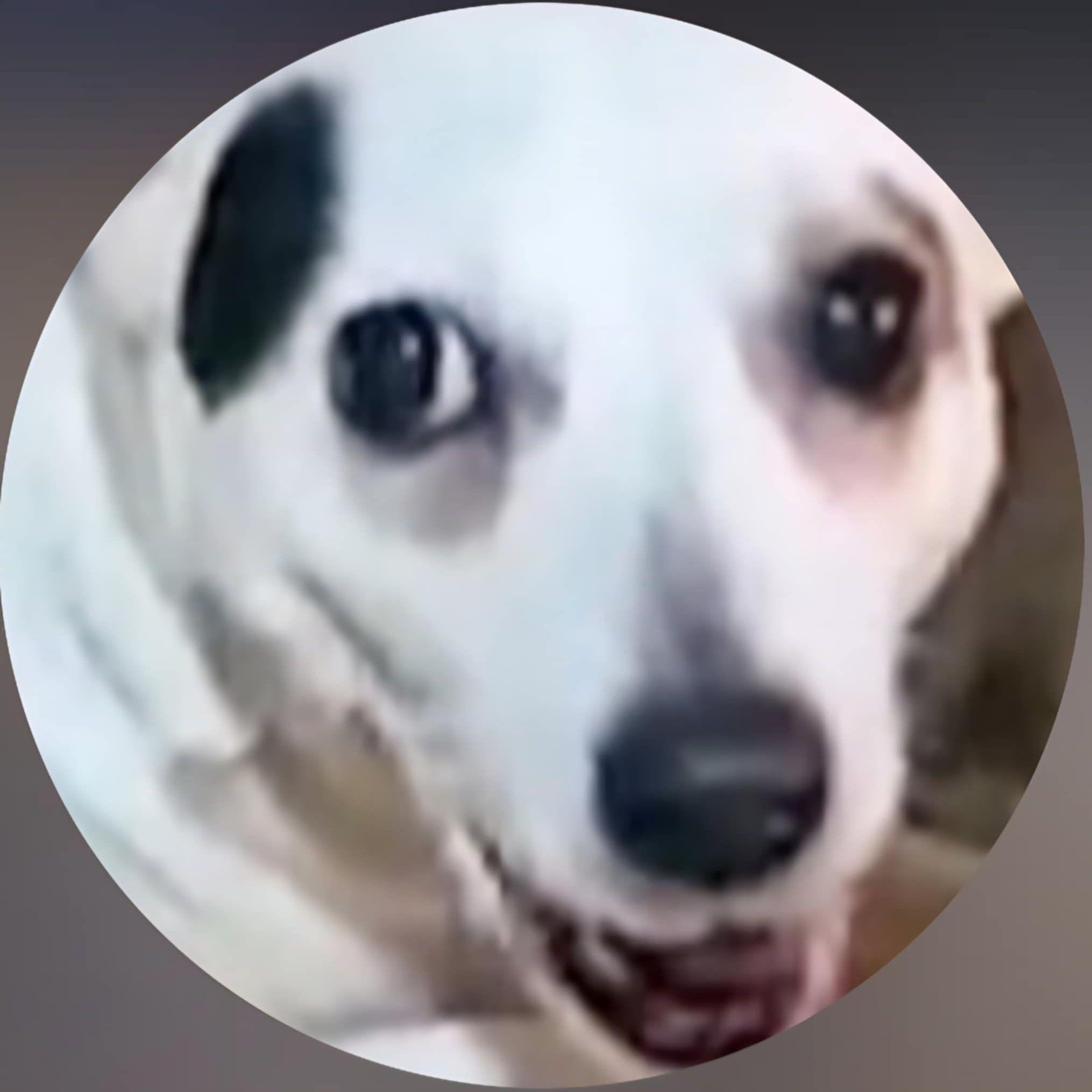 kucii69 avatar