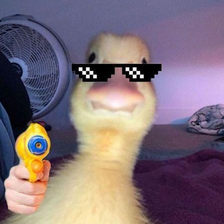 MKLMoff avatar