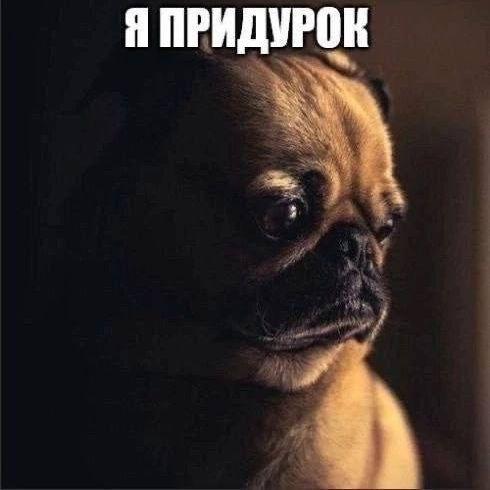 vibenalowed