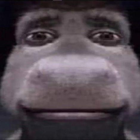 OSELBTW avatar