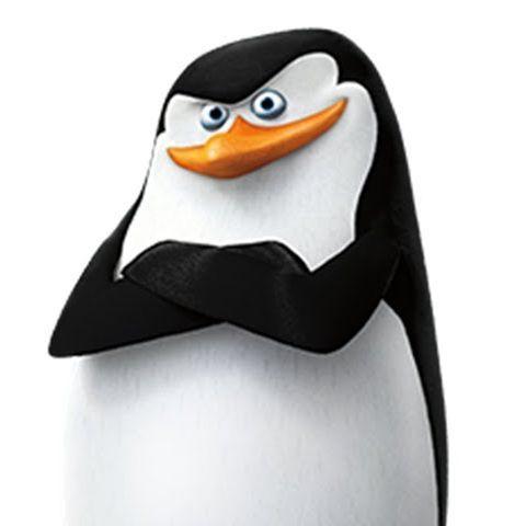 MOWEHU4ECTBO avatar