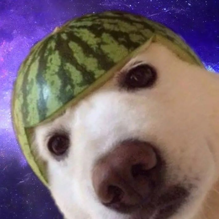 MelonDog-