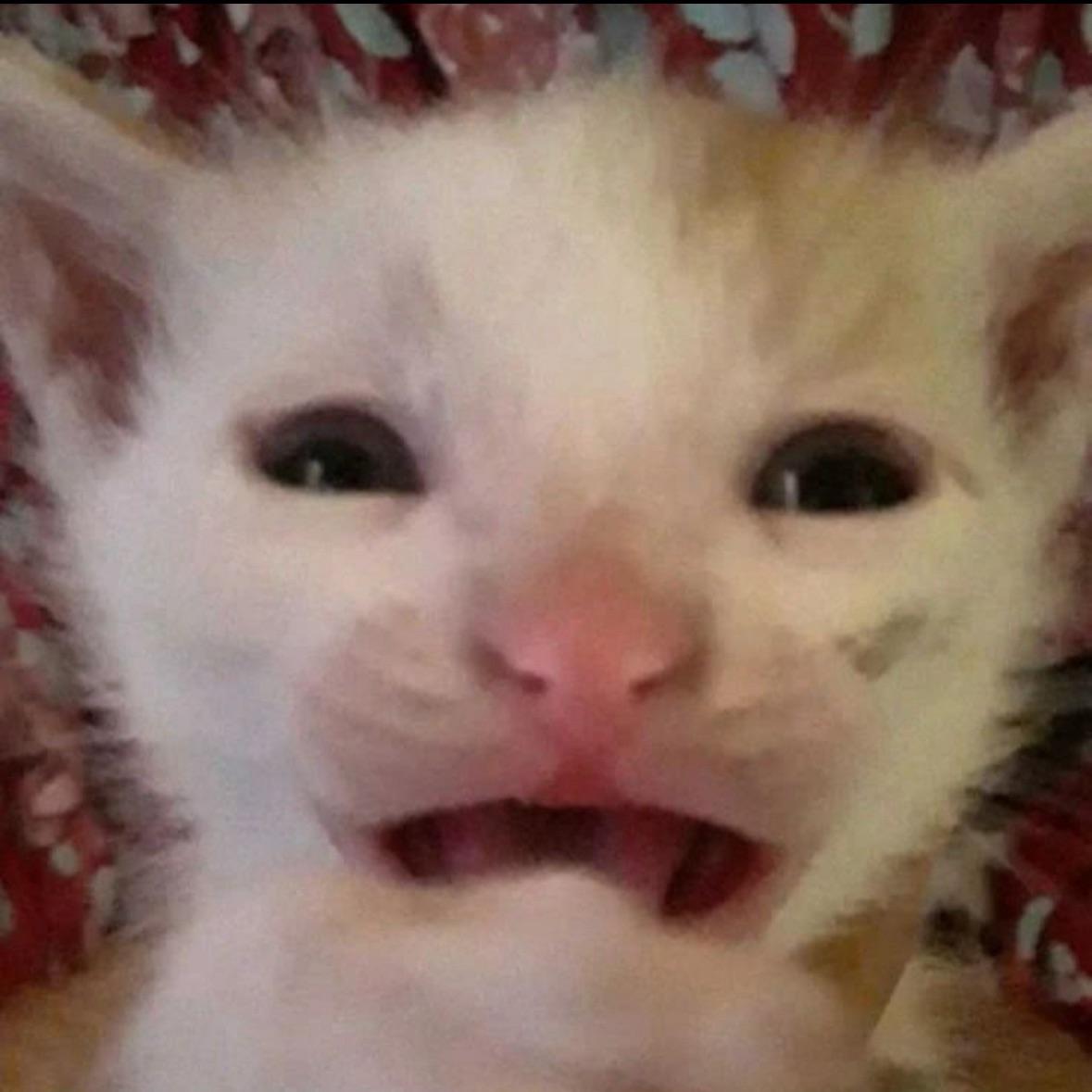 DaSnoLeopard avatar