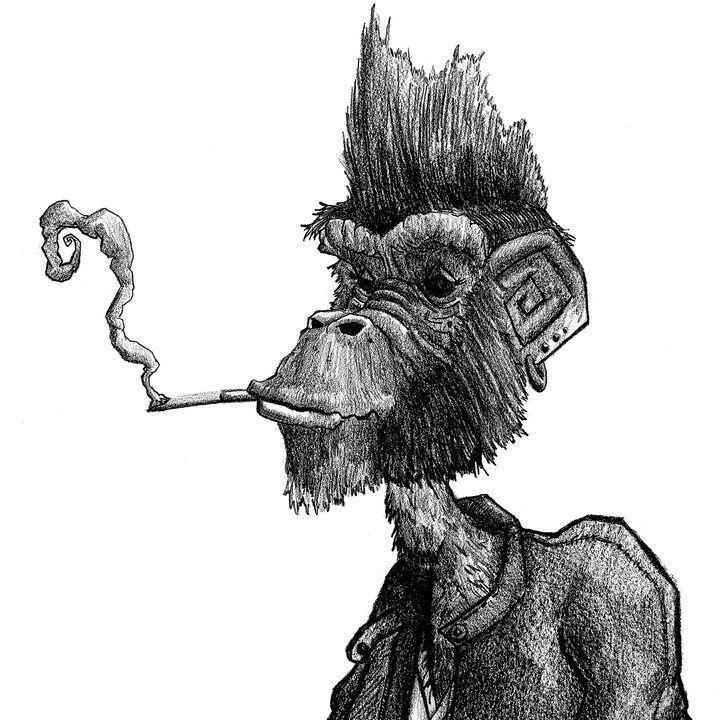 kxarlis avatar