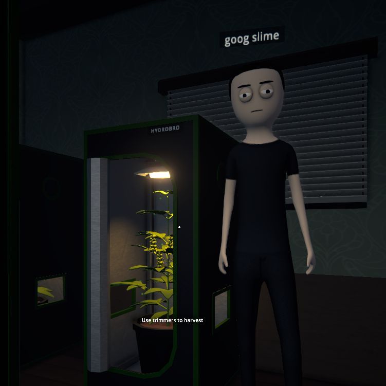 Faceit Avatar