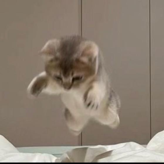 kitls avatar