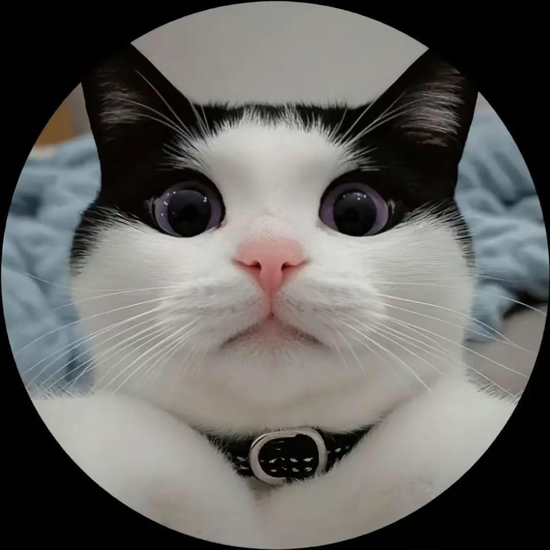 gaukhhmura avatar