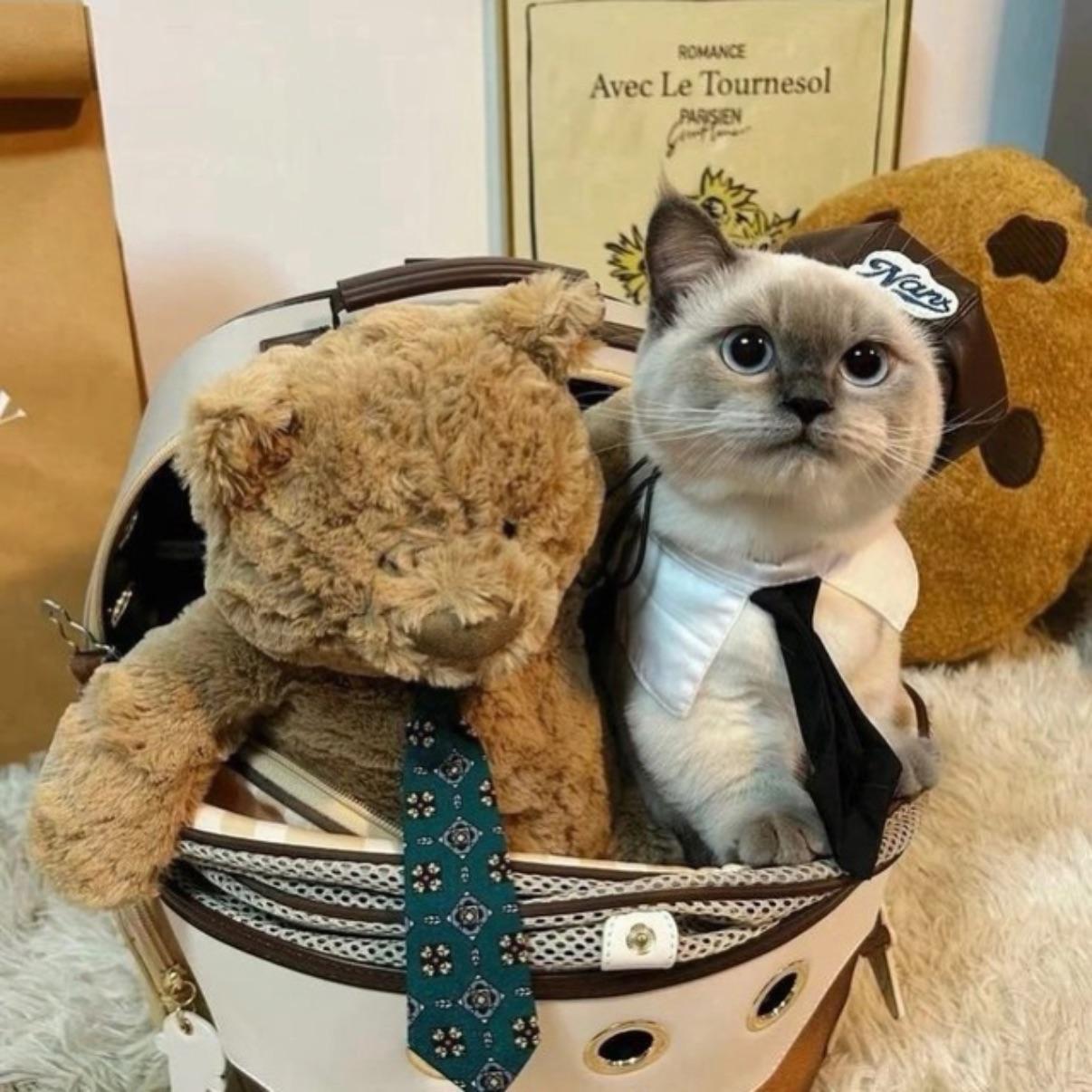 stefanchikus avatar