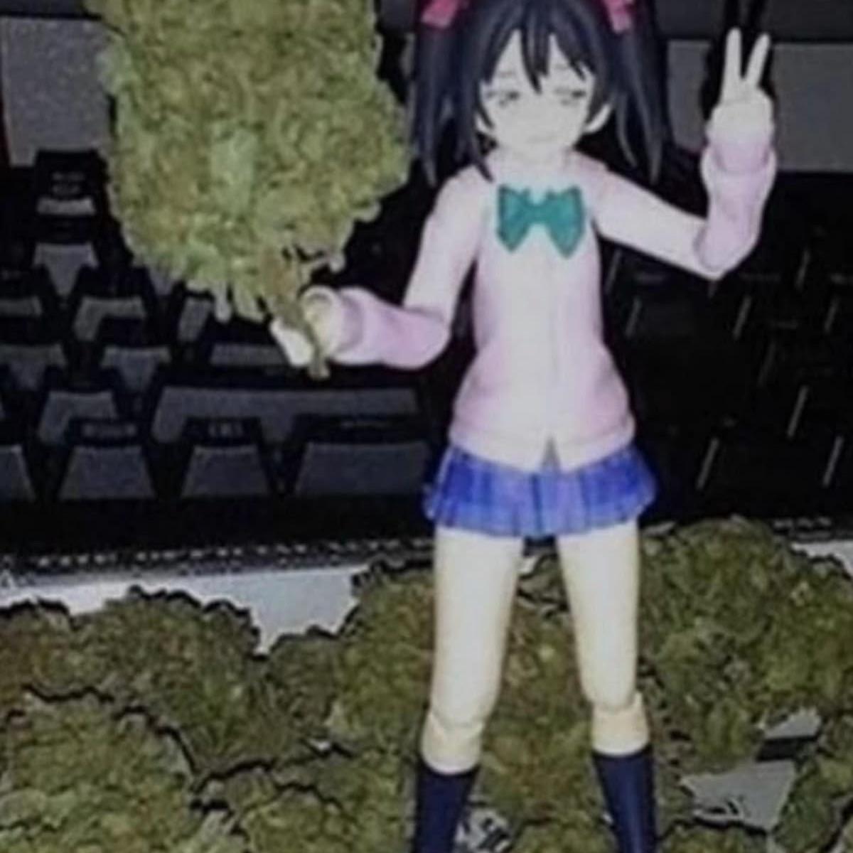 thx4drugs avatar