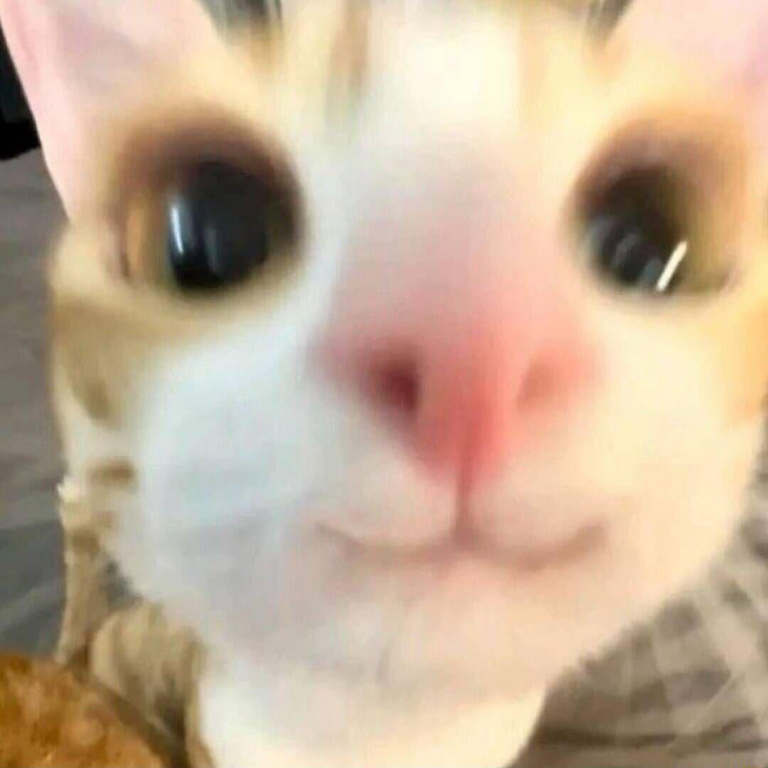 SyzygyGaming avatar