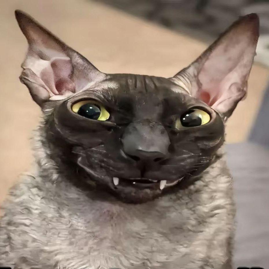 NEBIGSOSA avatar
