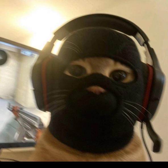 neLegendaren avatar