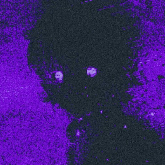 -paranoiaque